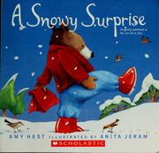 Cover of A Snowy Surprise by Amy Hest