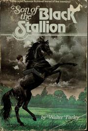 Front cover of Son of the Black Stallion by Walter Farley