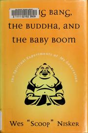 Front cover of The big bang, the Buddha, and the baby boom by Wes Nisker