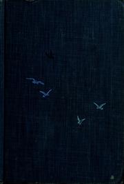 Cover of Mystery on a minus tide by Marg Nelson