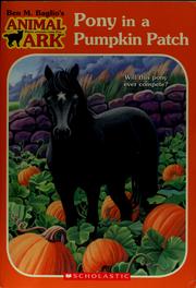 Cover of Pony in a pumpkin patch by Ben M. Baglio