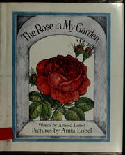 Front cover of The Rose in My Garden by Arnold Lobel