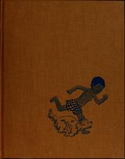 Cover of The sky dog by Brinton Turkle