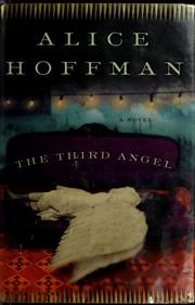 Cover of Third Angel, The by Alice Hoffman