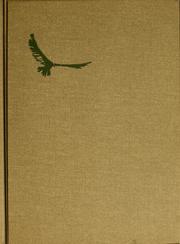 Cover of The King's falcon by Paula Fox