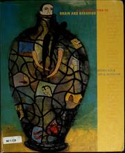 Front cover of An introduction to brain and behavior by Bryan Kolb
