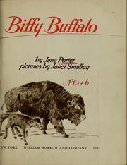 Cover of Biffy Buffalo by Jane Porter