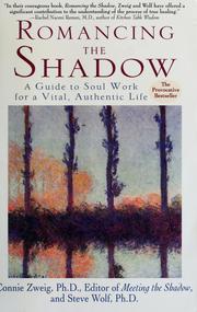 Cover of Romancing the Shadow by Connie Zweig