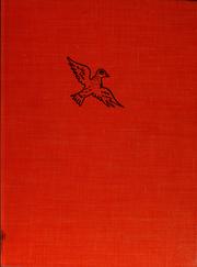 Cover of Evangeline by Natalie Savage Carlson