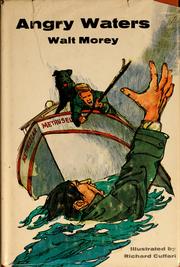 Cover of Angry waters by Walt Morey