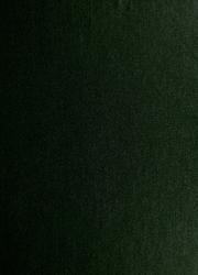 Cover of A pragmatic view on education in information systems development by Hirohide Hinomoto