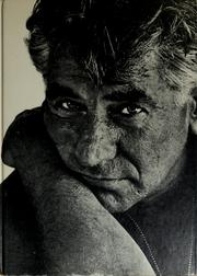Front cover of The private world of Leonard Bernstein by John Gruen
