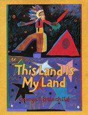 Front cover of This Land Is My Land by George Littlechild