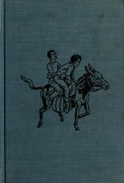 Cover of The lost waters by Belle Dorman Rugh