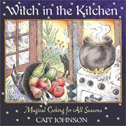Cover of Witch in the Kitchen by Cait Johnson