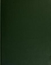 Cover of R.M. Schindler by R. M. Schindler