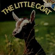 Front cover of The Little Goat by Judy Dunn