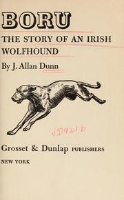 Cover of Boru by J. Allan Dunn