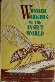 Front cover of Wonder-workers of the insect world by Hiram J. Herbert