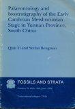 Front cover of Palaeontology and biostratigraphy of the Early Cambrian Meishucunian stage in Yunnan Province, South China by Qian Yi