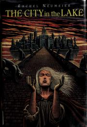 Cover of The City in the Lake by Rachel Neumeier