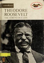 Front cover of Theodore Roosevelt by John Arthur Garraty