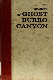 Front cover of The mystery of Ghost Burro Canyon by Dorothea J. Snow