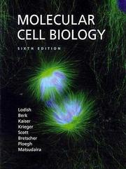 Front cover of Molecular Cell Biology by Harvey Lodish