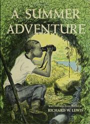 Front cover of A summer adventure by Richard W. Lewis