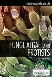 Front cover of Fungi, algae, and protists by Kara Rogers