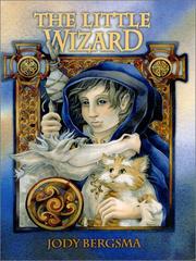 Front cover of The little wizard by Jody Bergsma