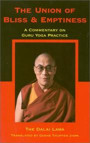 Cover of The union of bliss and emptiness by His Holiness Tenzin Gyatso the XIV Dalai Lama