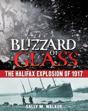 Front cover of Blizzard of glass by Sally M. Walker