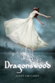 Front cover of Dragonswood by Janet Lee Carey