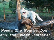 Front cover of Neewa the Wonder Dog and The Ghost Hunters. Vol. 1 The Mystery of the Indian Medicine Woman is Revealed! by Unknown