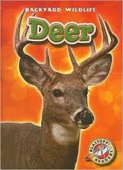 Cover of Deer by Derek Zobel