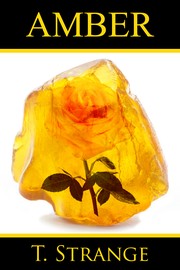 Cover of Amber by T. Strange