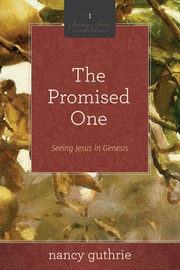 Cover of The promised one by Nancy Guthrie