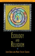 Cover of Ecology and religion by John Grim