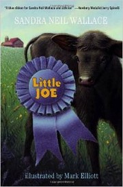 Cover of Little Joe by Sandra Neil Wallace