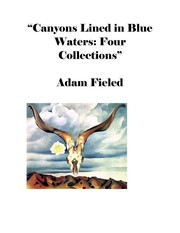 Front cover of Canyons Lined in Blue Waters by Adam Fieled