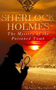 Front cover of The Mystery of the Poisoned Tomb by Pennie Mae Cartawick  