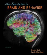Cover of An Introduction to Brain and Behavior by Brian Kolb