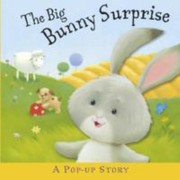 Cover of The Big Bunny Surprise A Popup Story by Liza Miller