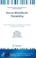 Cover of Green Metathesis Chemistry Great Challenges In Synthesis Catalysis And Nanotechnology by Valerian Dragutan
