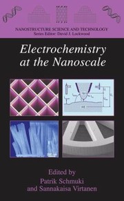 Front cover of Electrochemistry At The Nanoscale by Patrik Schmuki