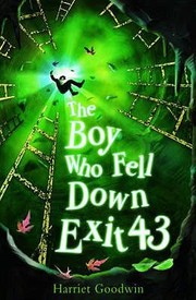 Front cover of The Boy Who Fell Down Exit 43 by Harriet Goodwin