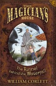 Front cover of Tunnel Behind the Waterfall (The Magician's House, Book 3) (Magician's House Quartet) by William Corlett