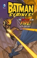 Front cover of The Batman Is On Fire by Bill Matheny
