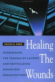 Cover of Healing the wounds by David M. Noer